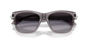Transparent Grey / Grey Gradient (55548G)