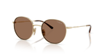 Pale Gold / Dark Brown (848/73)