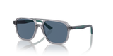 Transparent Grey / Dark Blue (309980)