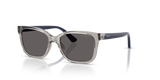 Transparent Grey / Black Smoke (272687)