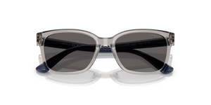 Transparent Grey / Black Smoke (272687)