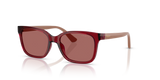 Transparent Dark Red / Dark Violet (306669)