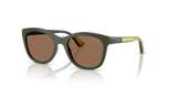 Full Dark Green / Dark Brown (320873)