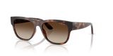 Total Dark Havana / Gradient Brown (271813)