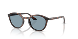 Total Dark Havana / Light Blue (271880)