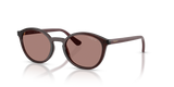 Transparent Bordeaux / Light Brown (327073)