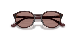 Transparent Bordeaux / Light Brown (327073)