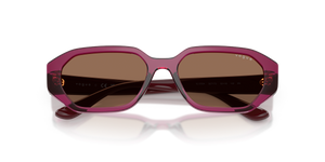 Transparent Burgundy / Dark Brown (327173)