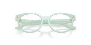 Artic Blue / Demo Lens (5505)
