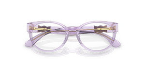 Transparent Pink / Demo Lens (5372)