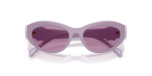 Lillac / Dark Violet Mirror Silver Int (5526AK)