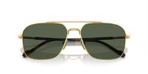 Gold / Dark Green Polarized (280/9A)