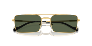 Gold / Dark Green Polarized (280/9A)