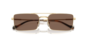 Pale Gold / Dark Brown (848/73)
