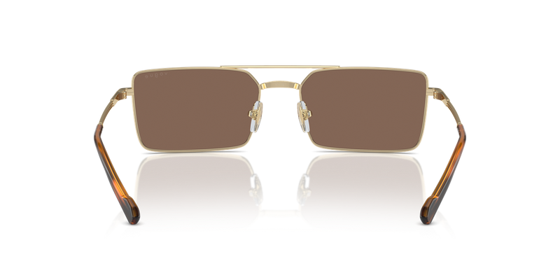 Vogue Eyewear VO4309S in Pale Gold / Dark Brown (848/73) - Alternate View