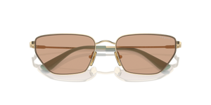 Pale Gold / Brown (848/3)
