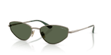 Light Brown / Dark Green Polarized (51389A)