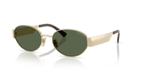 Pale Gold / Dark Green Polarized (848/9A)