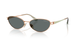 Rose Gold / Dark Grey Polarized (515281)