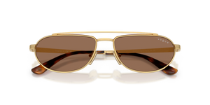 Gold / Dark Brown (280/73)