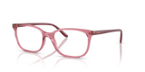 Transparent Purple / Demo Lens (3065)