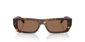 Dark Havana / Dark Brown (W65673)