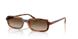 Dark Havana / Gradient Brown (W65613)