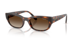 Total Dark Havana / Gradient Brown (271813)