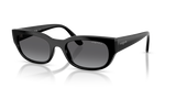 Black / Gradient Grey Polarized (W44/T3)
