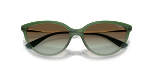 Gradient Green/Transparent Green / Green Gradient (3259E8)