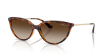 Dark Havana / Gradient Brown (W65613)