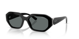 Black / Dark Grey Polarized (W44/81)
