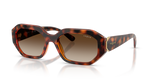 Dark Havana / Brown Gradient (W65613)