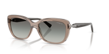 Transparent Brown / Gradient Grey (294011)
