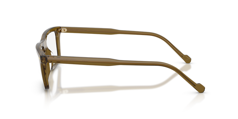 Vogue Eyewear VO5686 in Transparent Olive Green - Back View