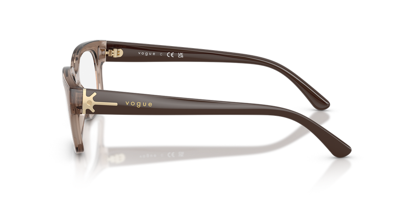 Vogue Eyewear VO5689 in Transparent Brown - Back View
