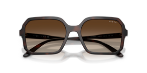 Brown Havana / Brown Gradient (238613)