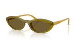 Transparent Olive Green / Dark Brown (328373)