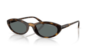 Dark Havana / Dark Grey Polarized (W65681)