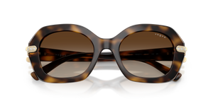 Dark Havana / Gradient Brown (W65613)