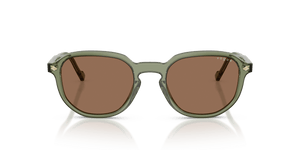 Transparent Green / Dark Brown (318773)