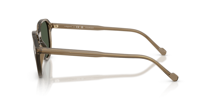 Vogue Eyewear VO5707S in Transparent Brown Heart / Dark Green Polarized (32939A) - Alternate View