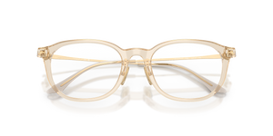 Transparent Caramel / Demo Lens (2990)