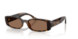 Dark Havana / Dark Brown (W65673)