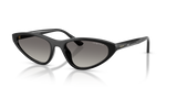 Black / Polarized Grey Gradient (W44/T3)