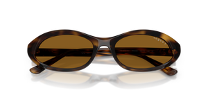 Dark Havana / Dark Brown Polarized (W65683)
