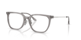 Transparent Grey / Demo Lens (2820)