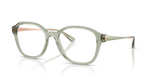 Transparent Green / Demo Lens (3022)