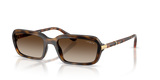 Dark Havana / Brown Gradient (W65613)