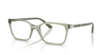 Transparent Green / Demo Lens (3022)